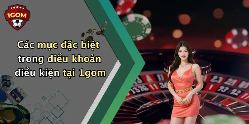 Các mục đặc biệt trong điều khoản điều kiện tại 1gom